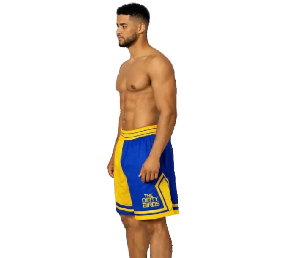 Premium Coaching Shorts